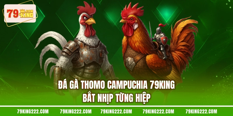 Đá Gà Thomo Campuchia 79KING - Bắt Nhịp Từng Hiệp