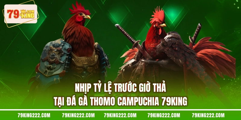Nhịp tỷ lệ trước giờ thả tại đá gà Thomo Campuchia 79KING