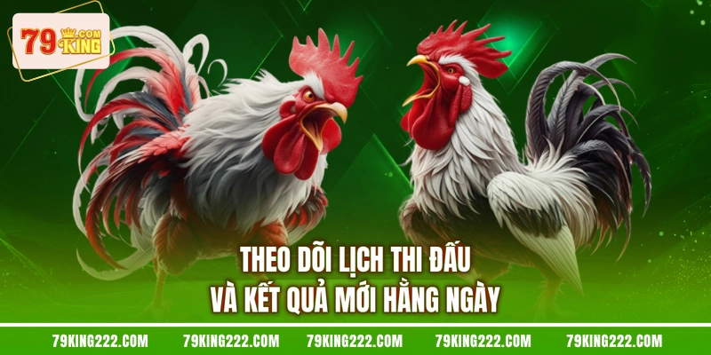 Theo dõi lịch thi đấu và kết quả mới hằng ngày