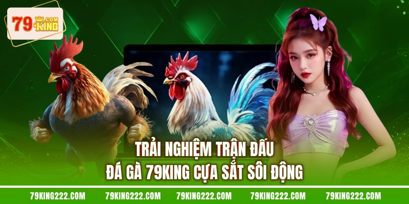 Trải nghiệm trận đấu đá gà 79KING cựa sắt sôi động